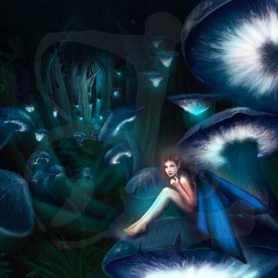 Fairymushrooms