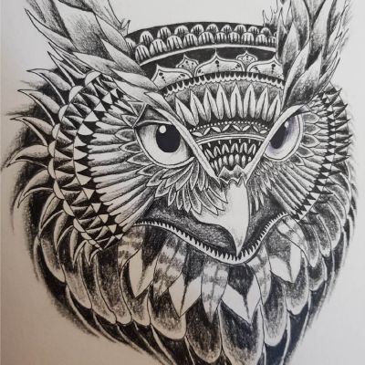 owl