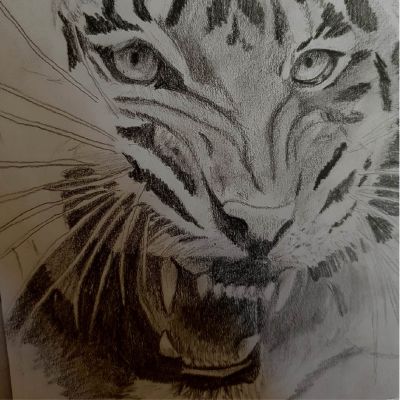 tigerunfinished